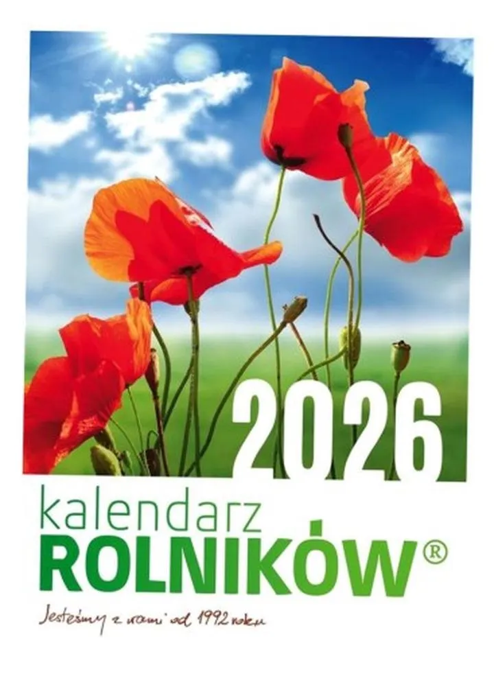 Dokumenty do legalnego zatrudnienia