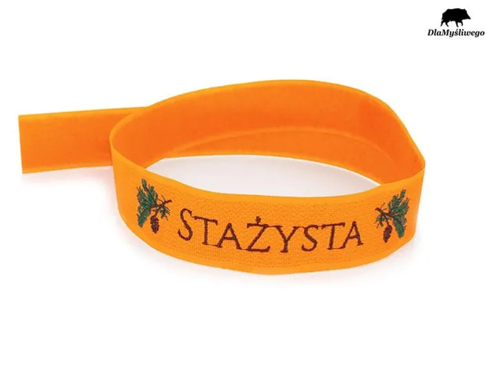 Współpraca z uczelniami