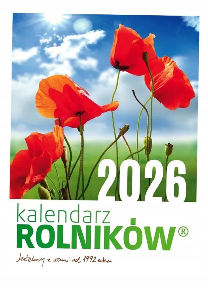 Wynagrodzenia i świadczenia pracownicze